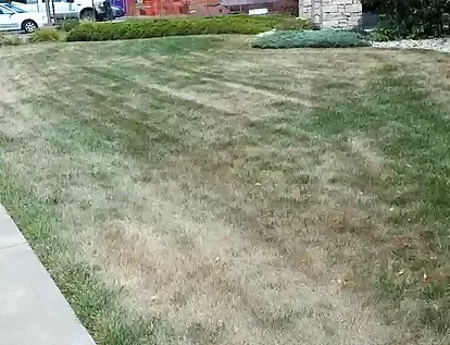 Drought lawn in lack of irrigation system